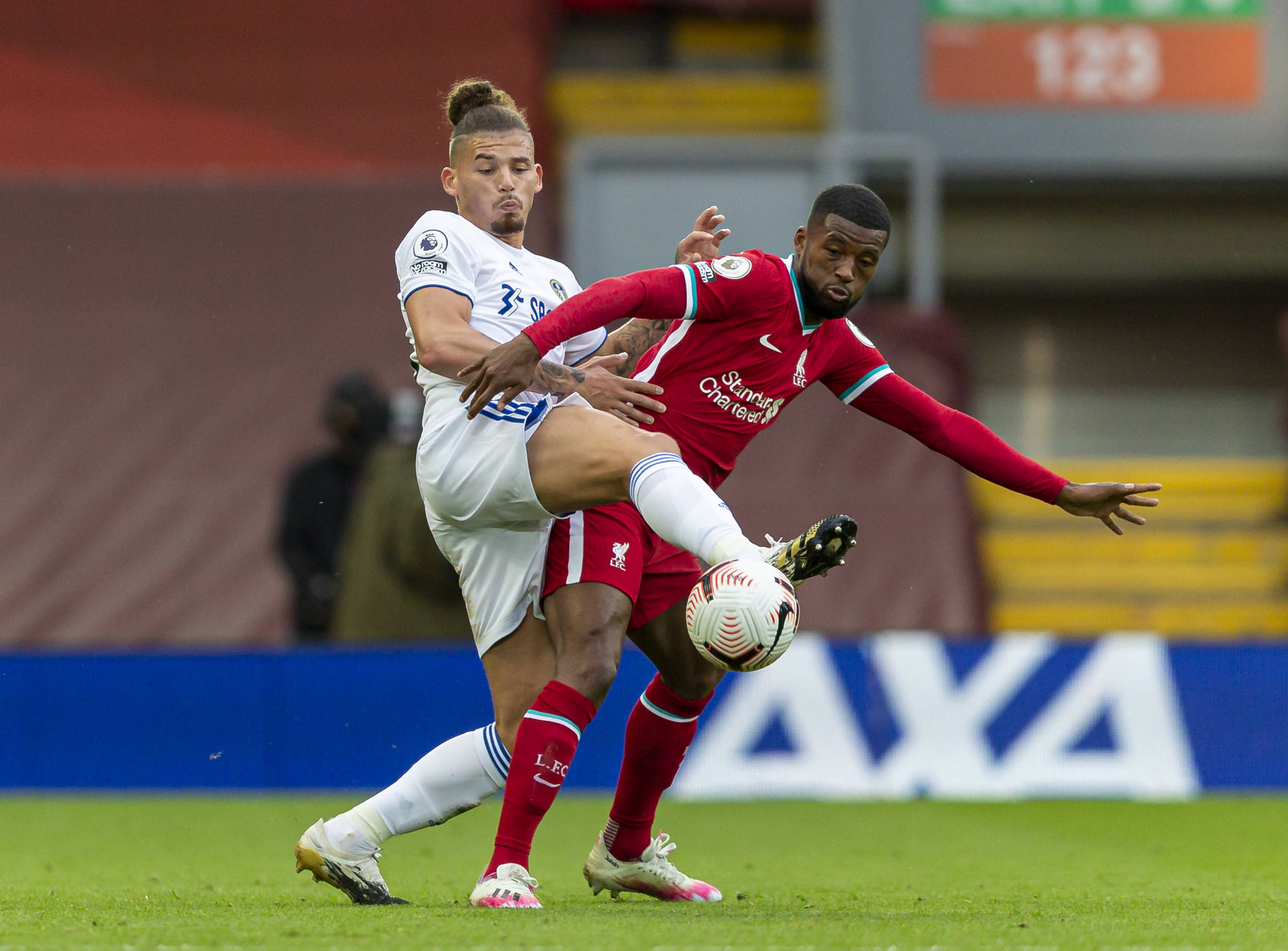 国体操新生 国体操新生